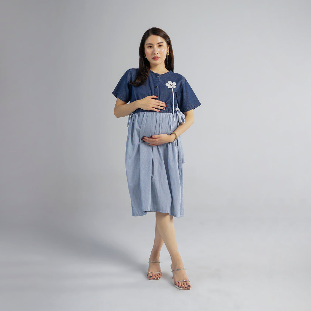 Bleuet Nursing Dress
