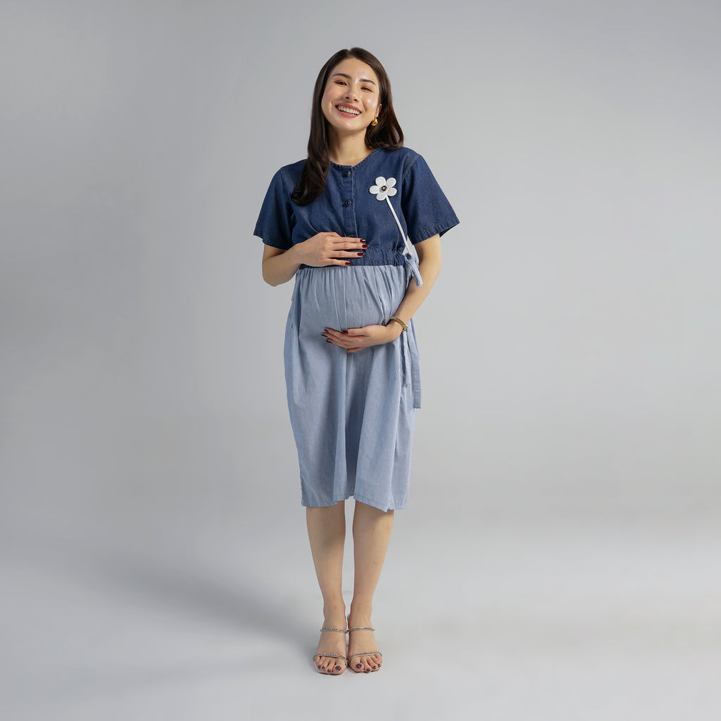 Bleuet Nursing Dress