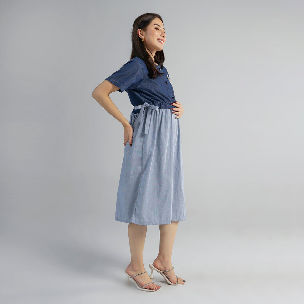 Bleuet Nursing Dress