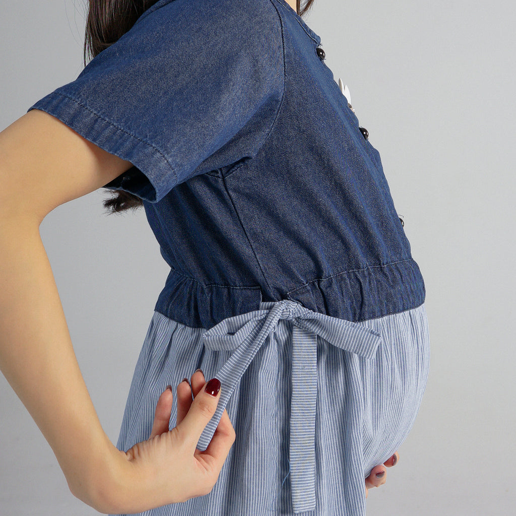 Bleuet Nursing Dress