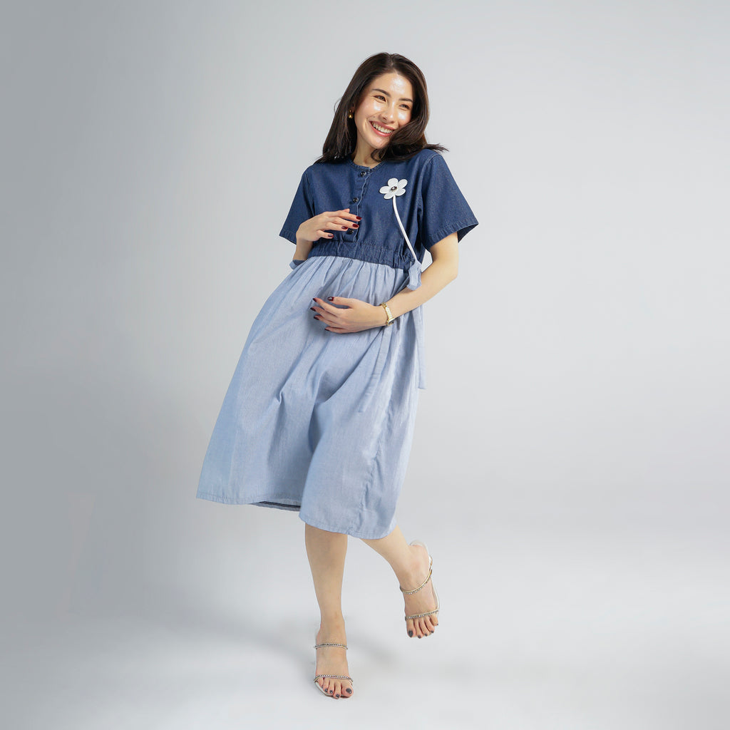 Bleuet Nursing Dress