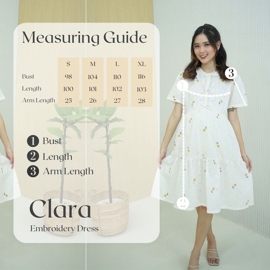 Clara Embroidery Nursing Dress in White