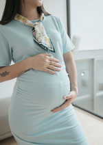 Muat gambar ke penampil Galeri, Kaylee Maternity Dress in Skyway

